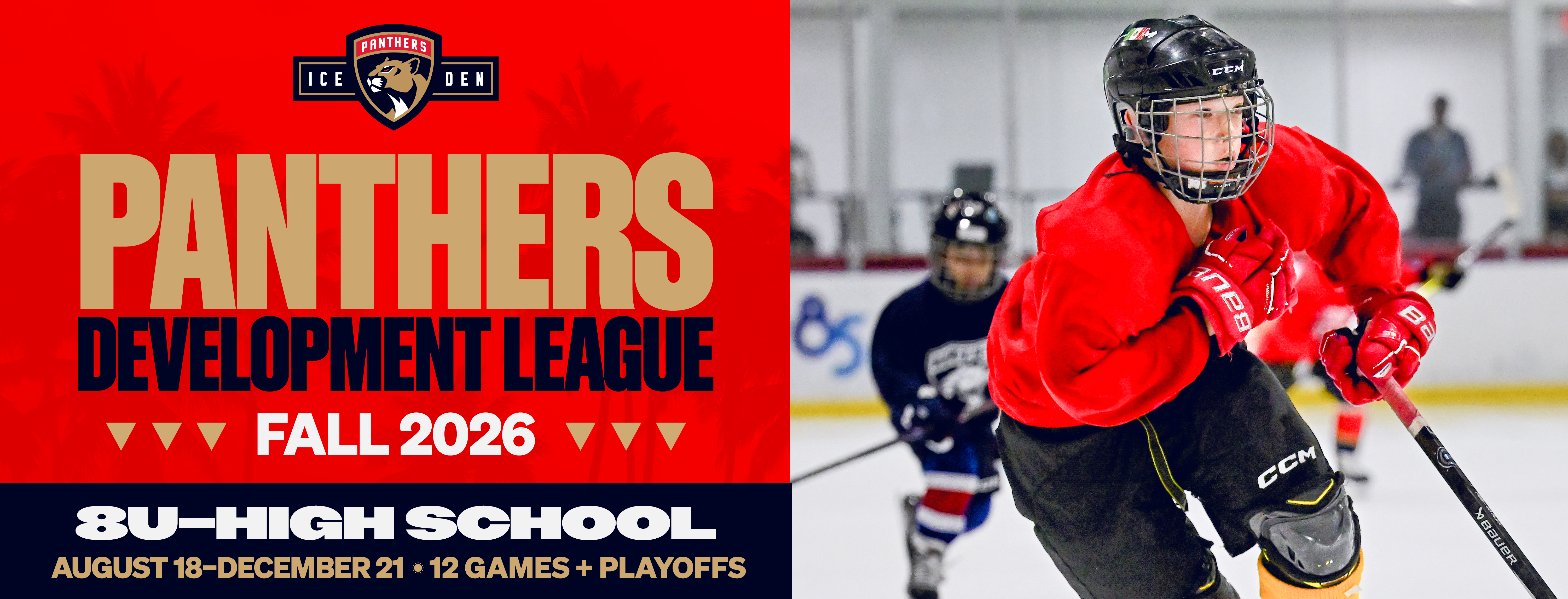 Fall Panthers Development League 